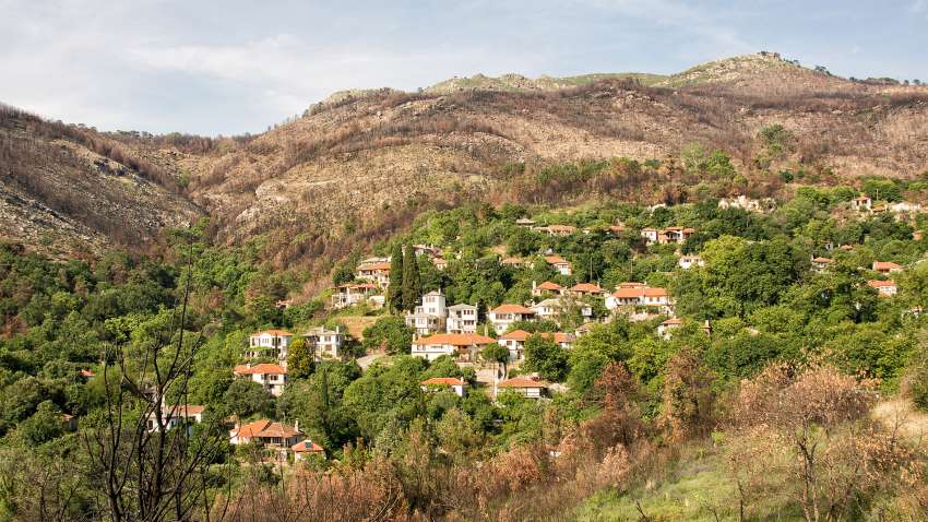 Kazaviti June 2017